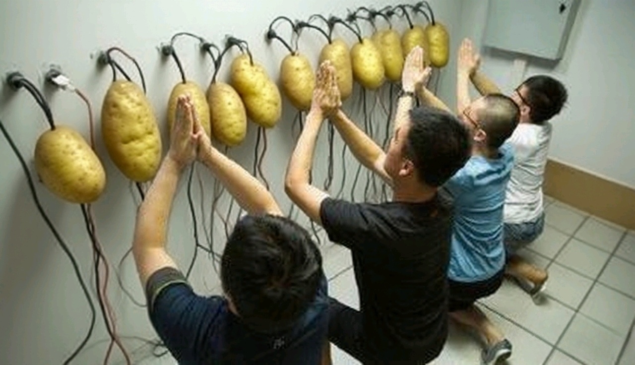 土豆