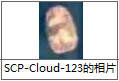 光影石