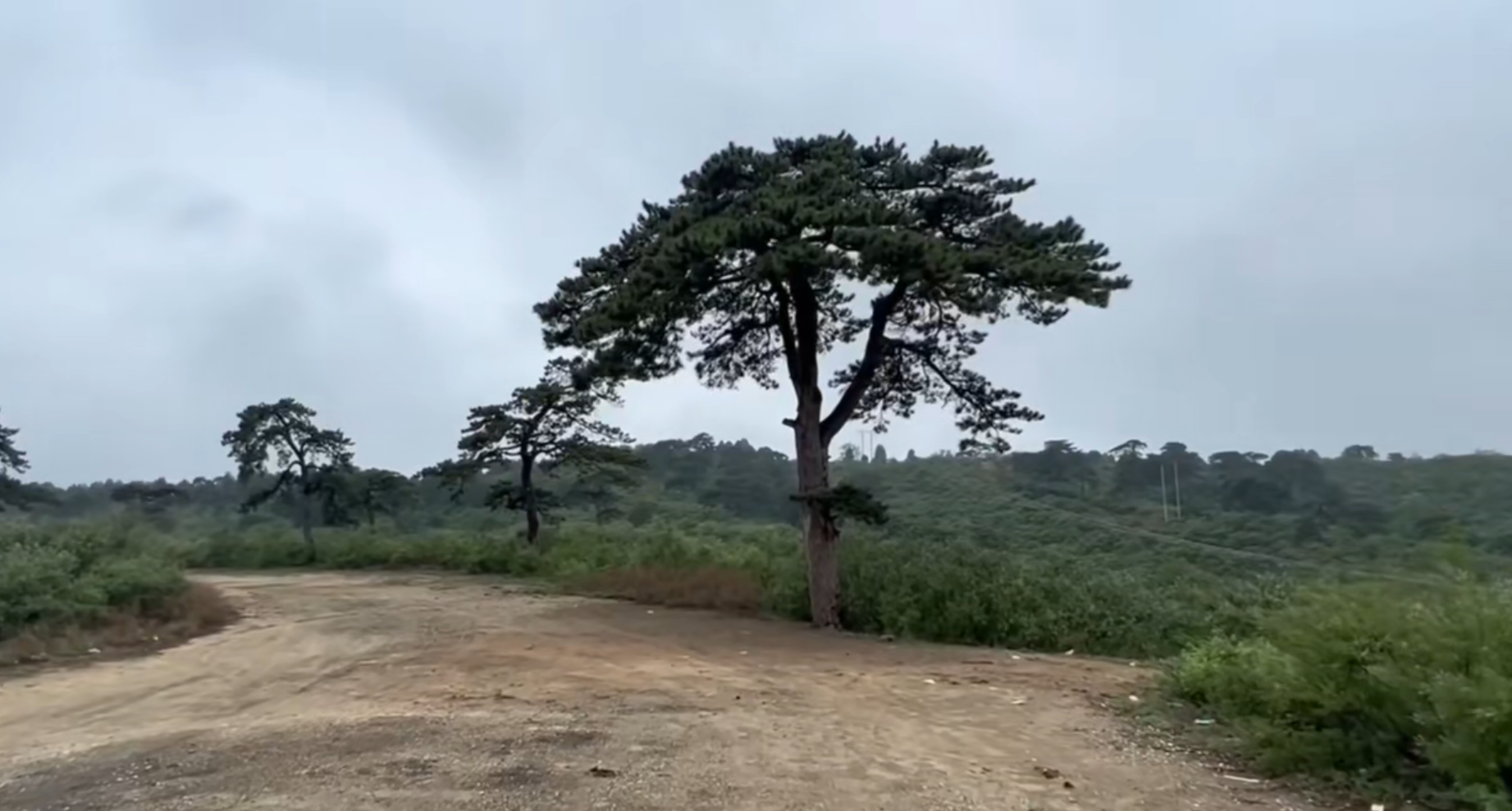SCP-Cloud-2907.png