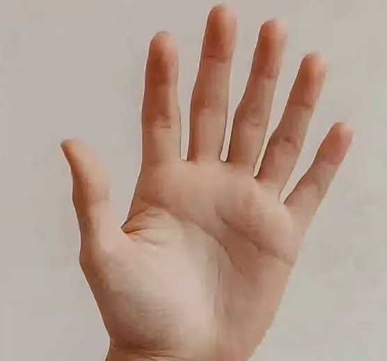 1790047179743.jpg
